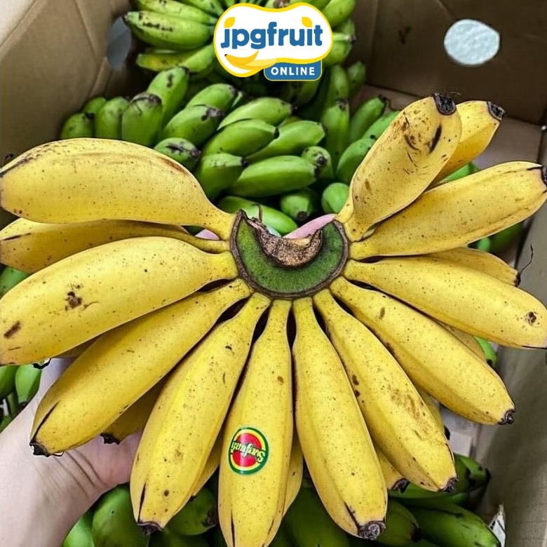 [Instant] PISANG MAS 1 SISIR FRESH LEMBUT SWEATY/SUNPRIDE