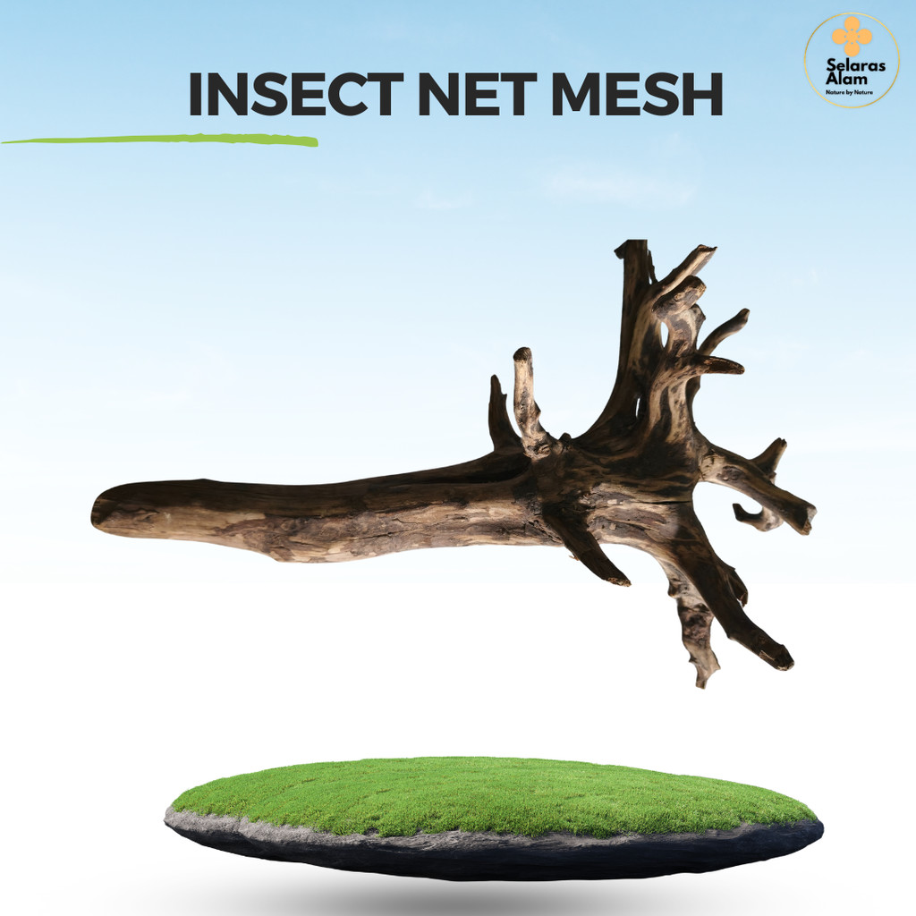 KAYU AKAR ARTISTIK RASAMALA DRIFTWOOD - KAYU AKAR ARTISTIK