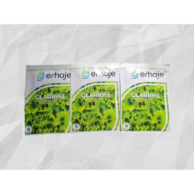 1000 pills CLARIBEL - bejo seed - Benih Lettuce Batavia Benih Selada bejo Original