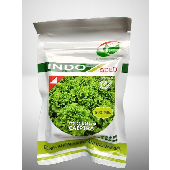 Benih Selada Lettuce Batavia Caipira 500 Pills Indo Seed - Enza Zaden