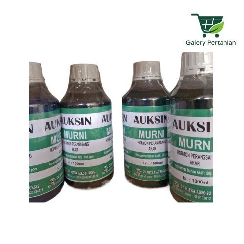 Hormon Auksin 1000ml Mendukung Pertumbuhan Akar dan Sel Tanaman. Auksin