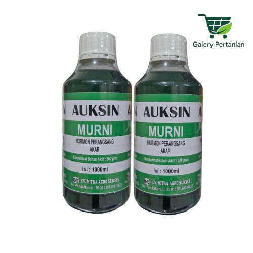 Auksin 1L Formula Akar Tanaman dengan Konsentrat 500 PPM. Auksin