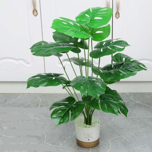 Tanaman hias dalam ruangan tanaman plastik tanaman hijau plastik tanaman simulasi punggung kura-kura