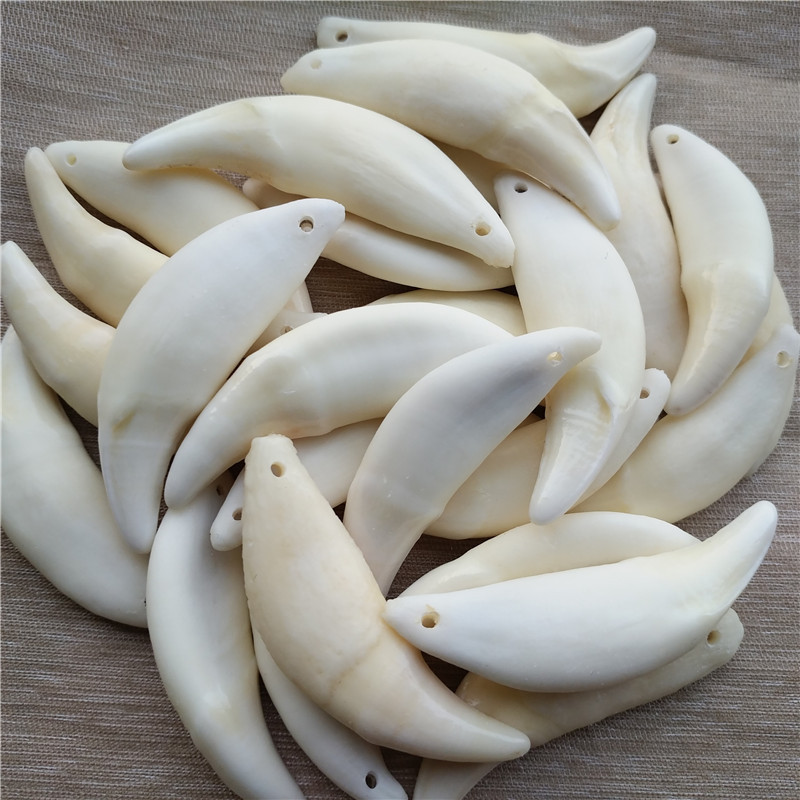 Taring Asli - Bandul - Liontin Taring - Taring Tulang Asli