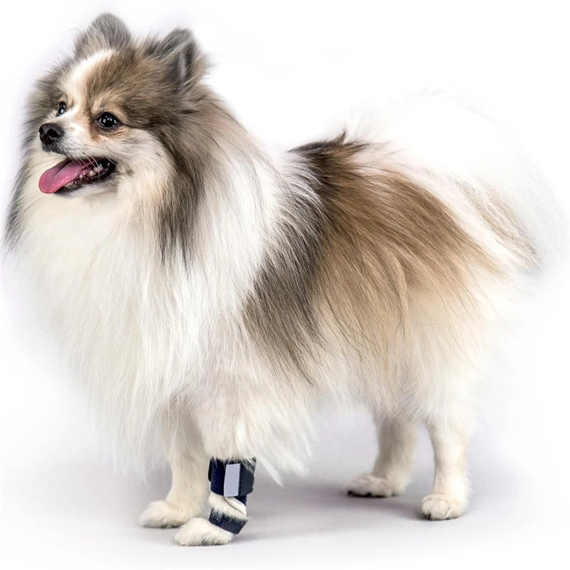 Dog Front Leg Brace Splint Carpal Hyperextension Dog Brace Support For Disabled Injured Small Dog Ca