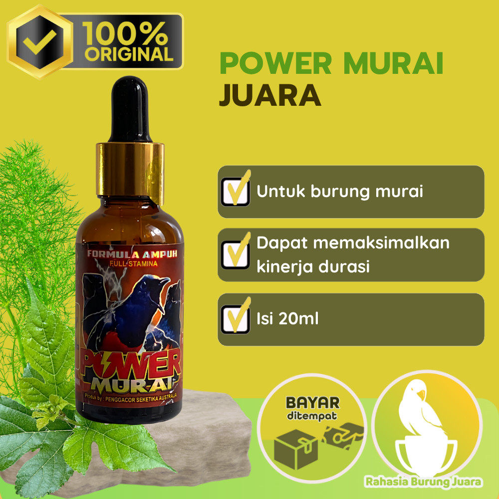 Power Murai juara Vitamin Penggacor Burung untuk burung murai anda