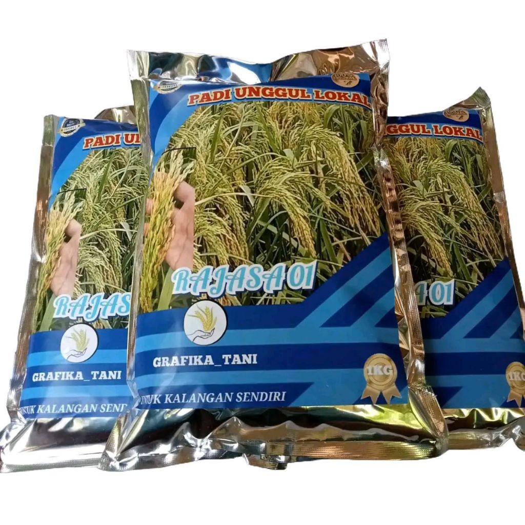 Padi Rajasa 01 1000 Bulir 1kg Benih Premium