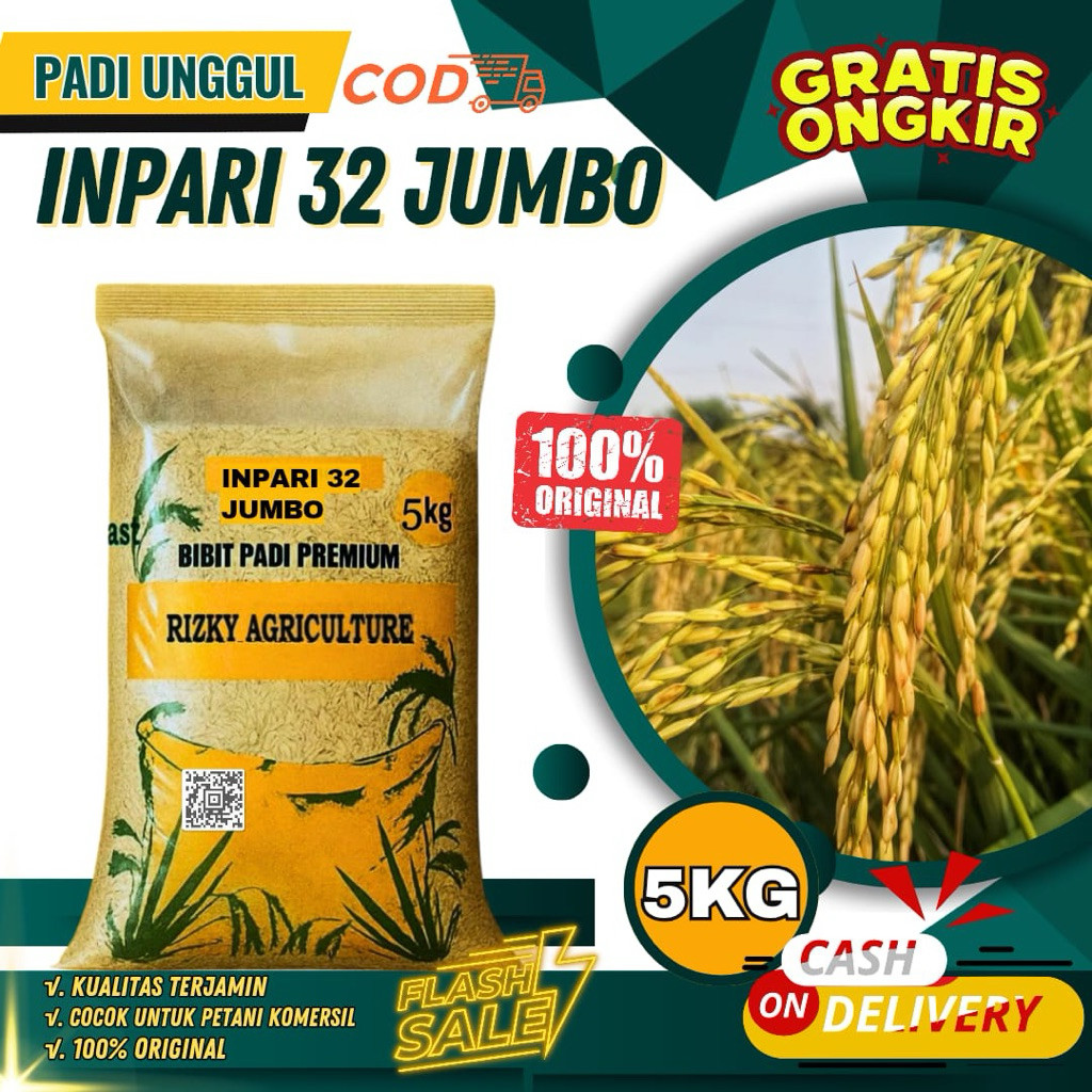 BENIH PADI BIBIT PADI INPARI 32 JUMBO KUALITAS PREMIUM KEMASAN 5KG