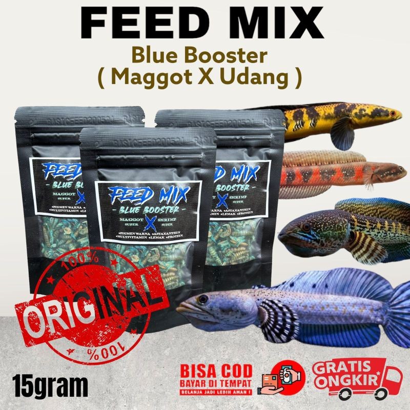 udang X maggot kering biru feed mix 15gr | makanan ikan predator | pakan ikan channa maru blue pulch
