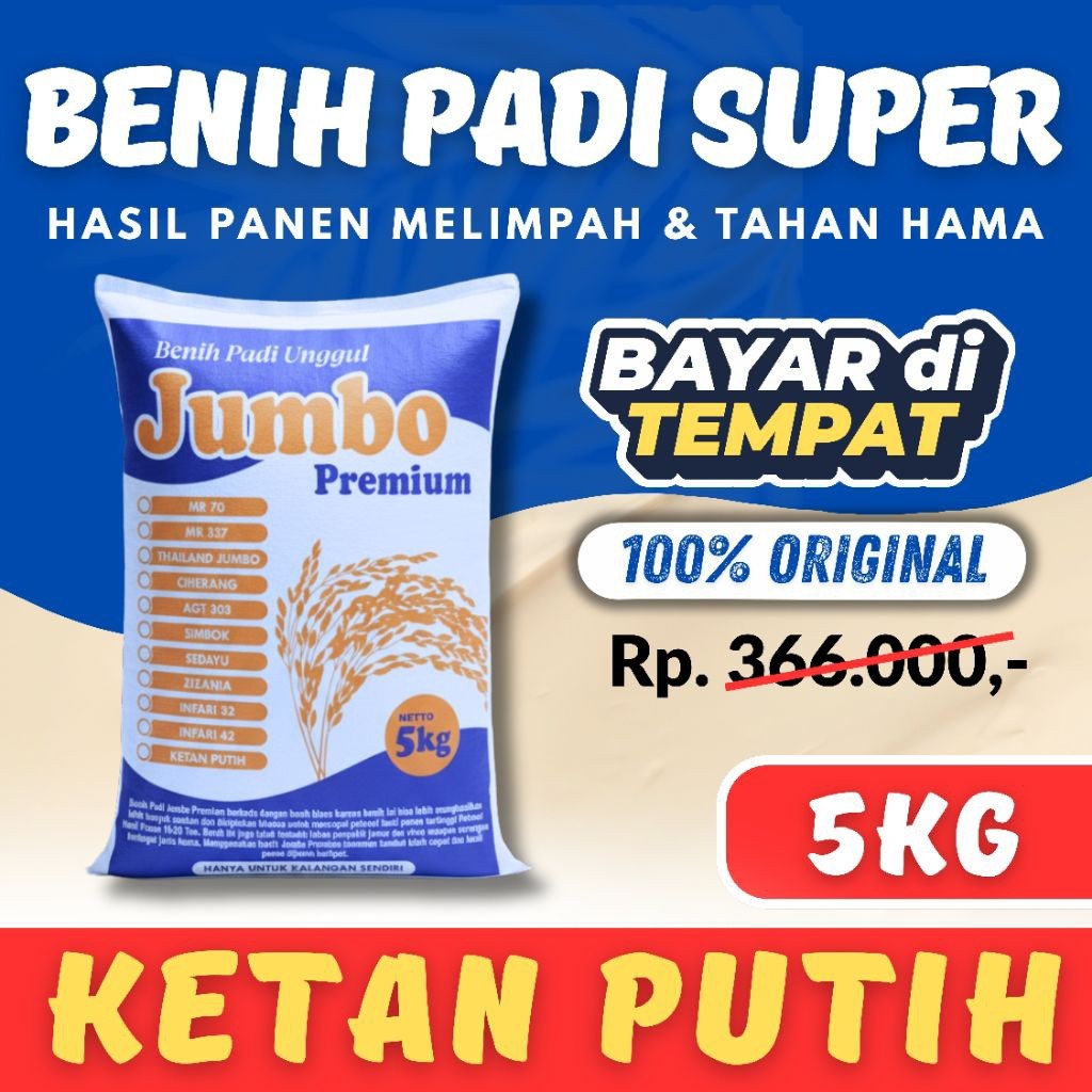 Bibit Padi Unggul Ketan Putih Kemasan 5kg Super Premium
