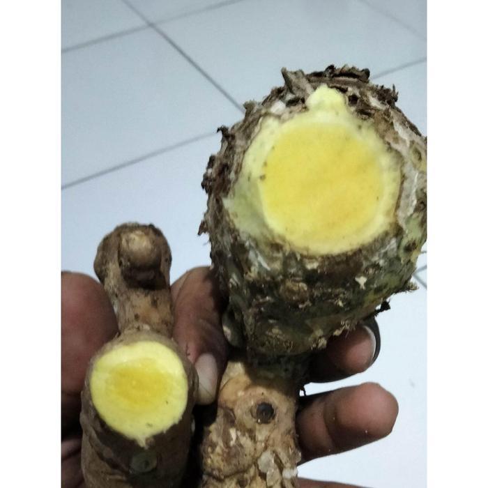 Temu mangga asli 1 kg sudah bersih PusakaAlam