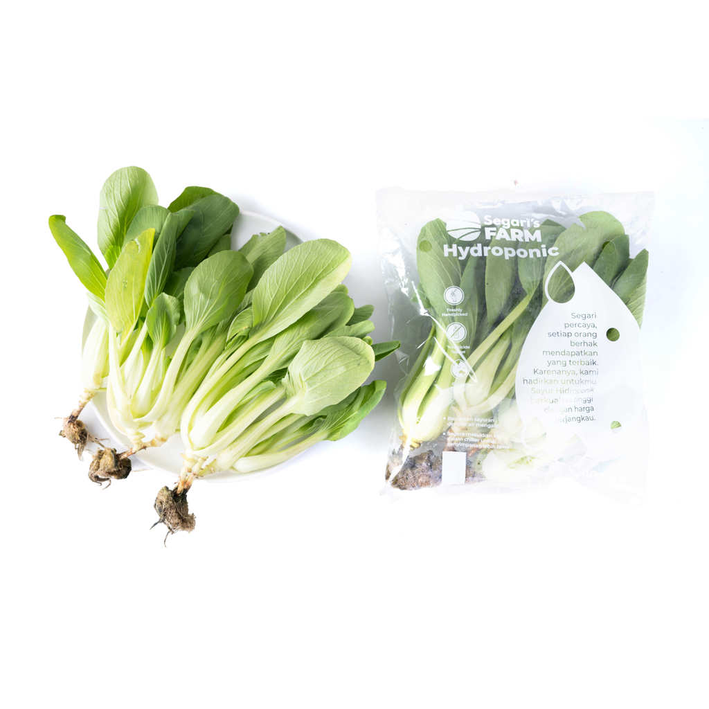 Baby Pakcoy Hidroponik Segari  (250 gram / pack)