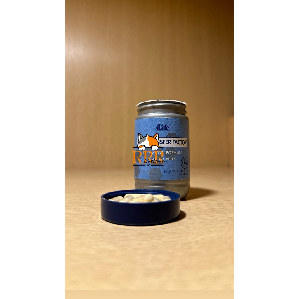 [Eceran] 4LIFE Tr4nsfer F4ctor