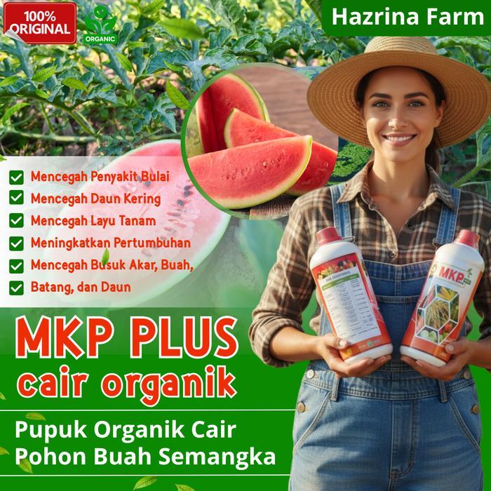 Pupuk MKP Biogest NPK Cair 1L Pupuk Penyubur Akar, Daun & Buah Plus GA3 | Pupuk Cair Penumbuh Tanama