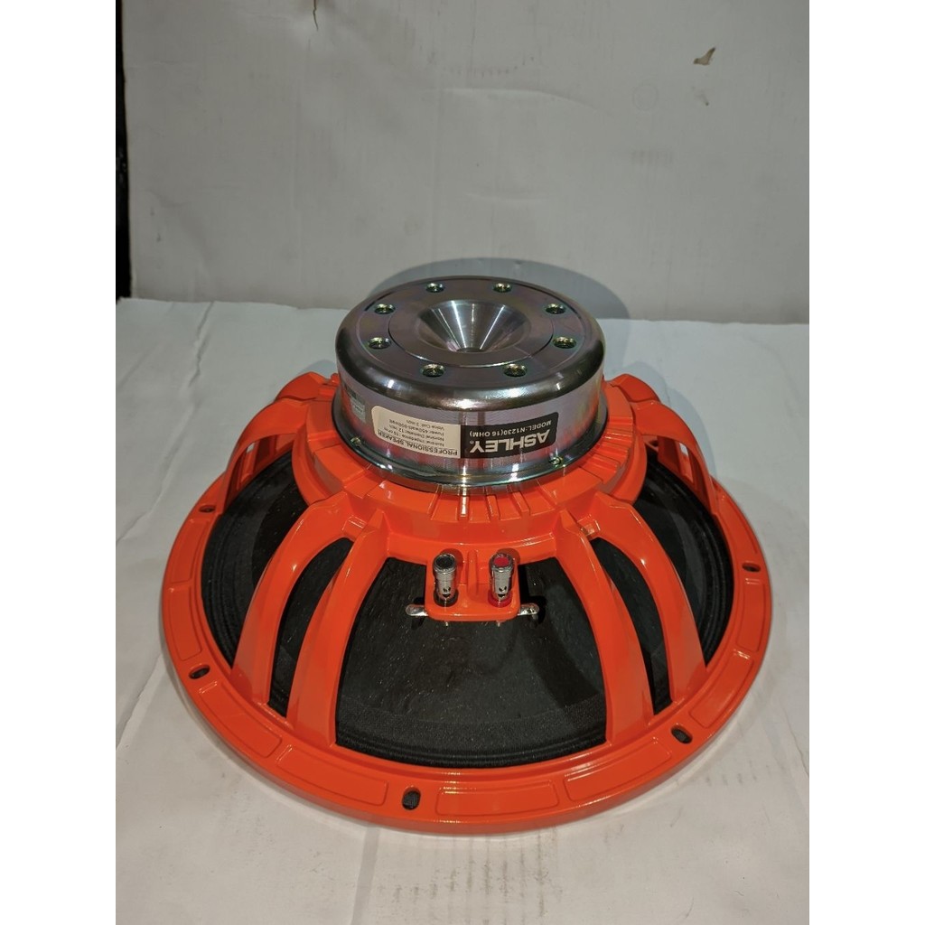 speaker 12 inch ASHLEY N1230 neodium