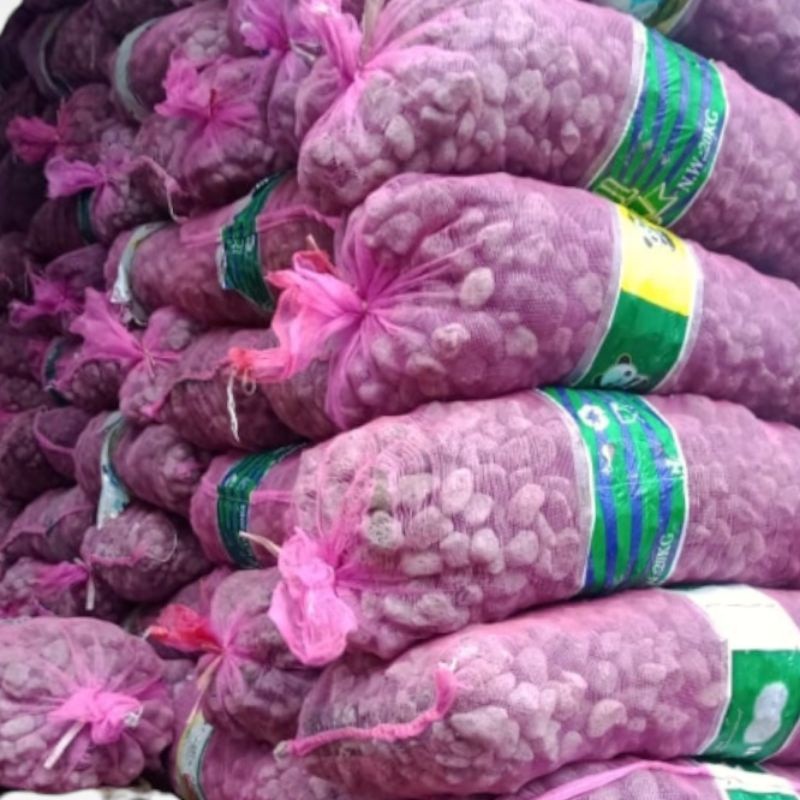 [BOBBY PET] Media Filter Batu Gombong 20kg Filter Kolam Mirip Batu Apung