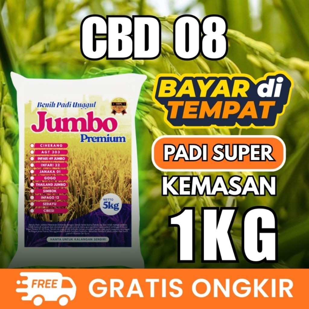 Benih padi CBD 08 1kg Berkualitas