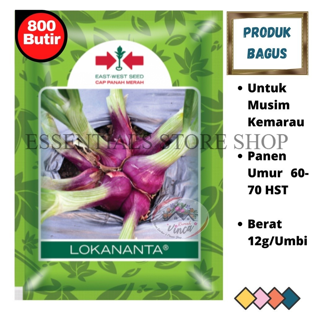 Bibit Benih Bawang merah biji TSS LOKANANTA 800butir dari Cap Panah Merah ESSENTIALS STORE SHOP