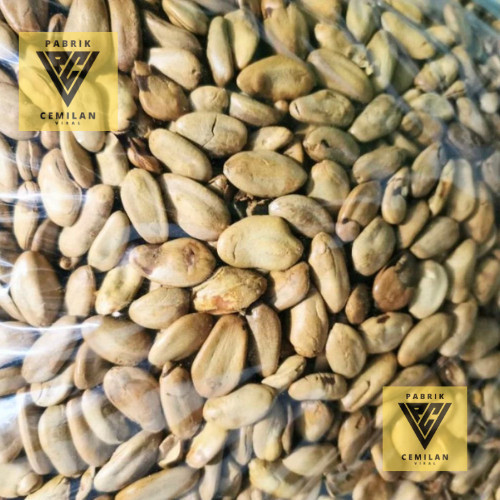 PCV Kacang Kedawung 250gr Kacang Kedawung Matang Kacang Kedawung Sangrai Kacang Kedawung Premium