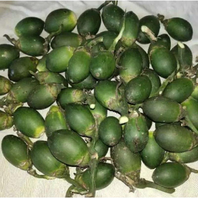Buah Pinang Segar/Jambe Muda Segar Alami 1 kg /Buah Jambe pinang muda Jambe pinang tua segar Jambe m
