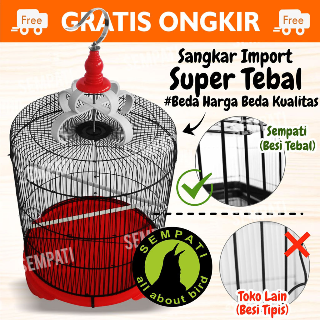 [star lolipop] SEMPATI Sangkar Murai Import Jumbo Kandang Burung Murai Jalak Kacer Cucak Hijau Impor