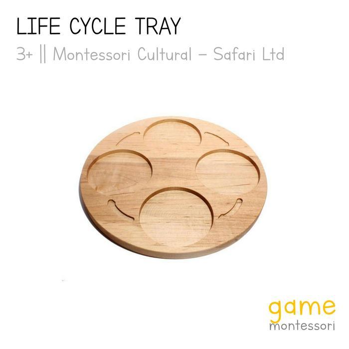 Life Cycle Tray