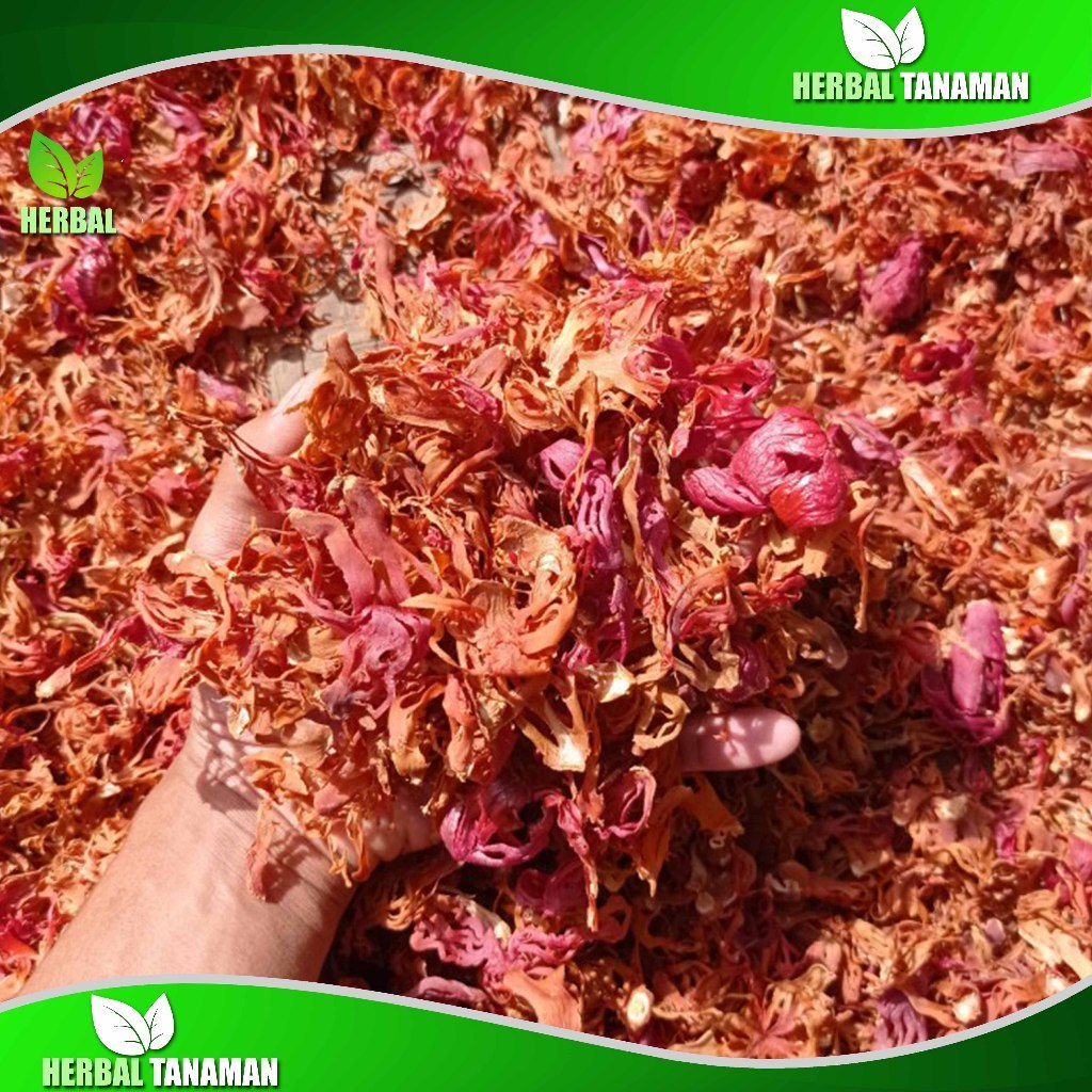 (Hausly) Bunga Pala Kering 1 kg - Fuli - Sempra Pala Kering