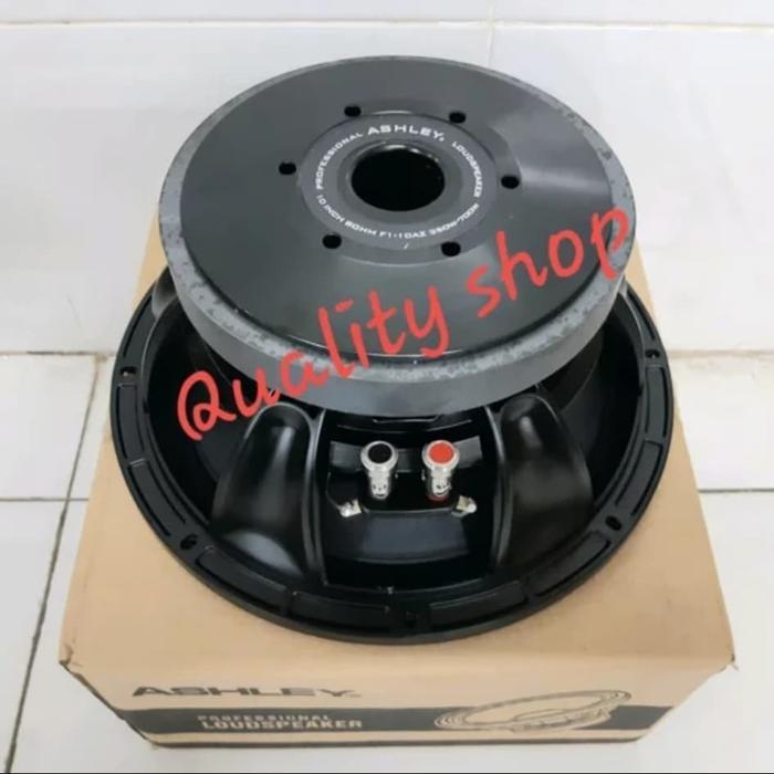 SPEAKER COMPONENT 10 INCH ASHLEY F1-10AZ LINE ARRAY