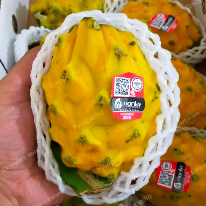 buah Naga Kuning Import Fresh Equador | Buah Naga Yellow | 1 kg