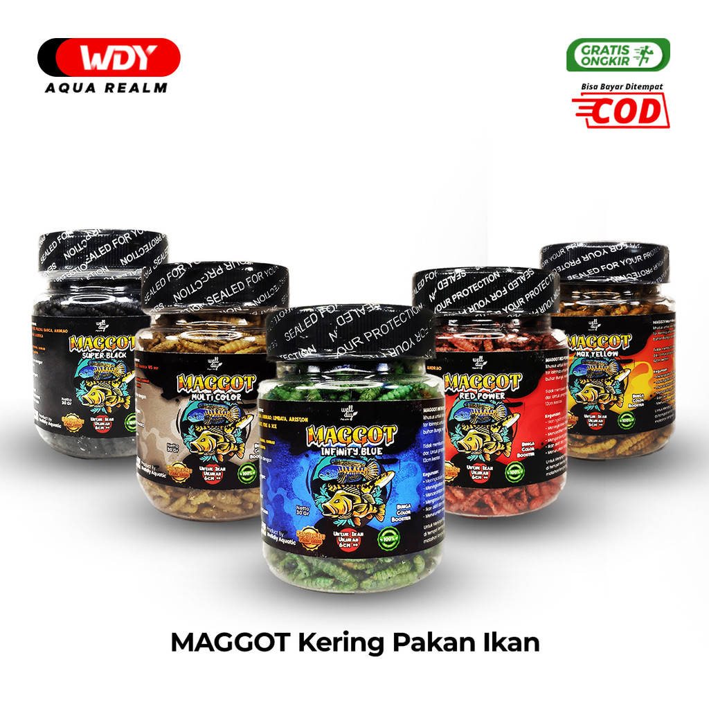 Maggot Pigment Kering BSF Pakan Ikan Channa Predator Louhan Arwana Oscar Pbas