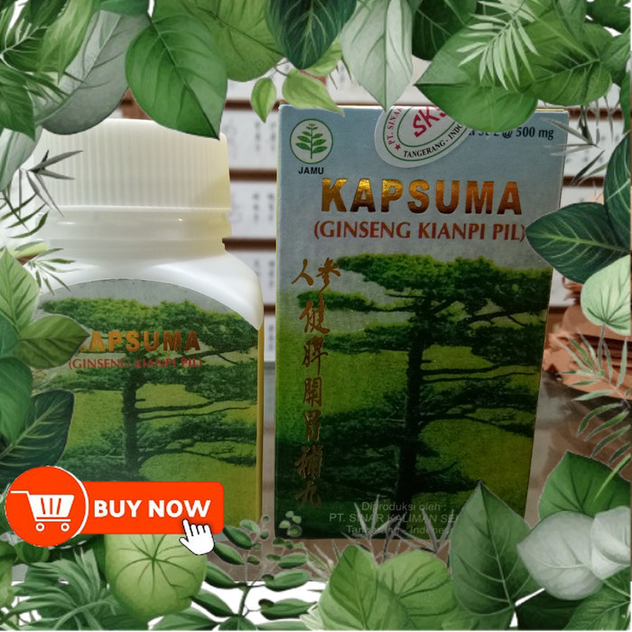 Paling Banyak Dicari ( Kianpi 100% Original Asli ) - Kapsuma Ginseng Kianpi Pil