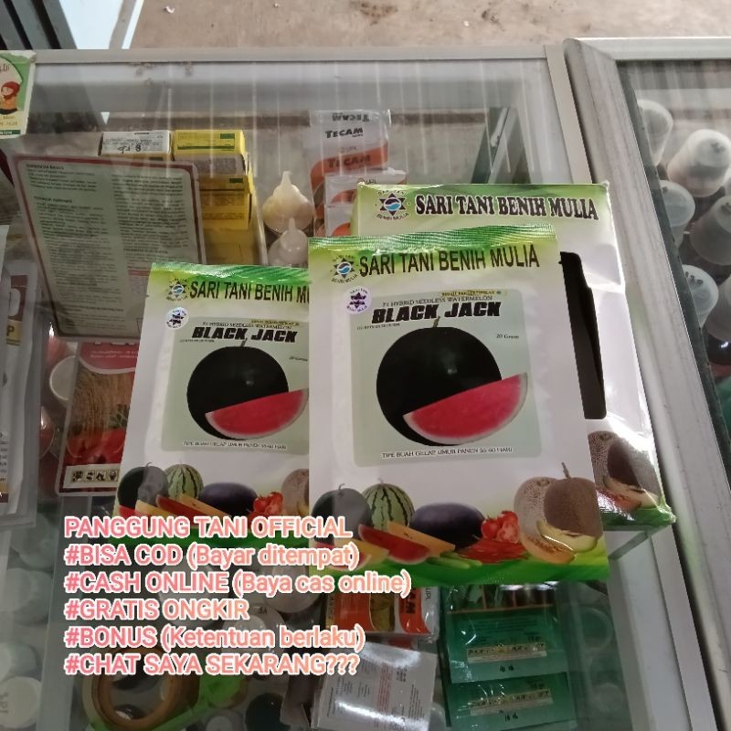 [java raharja] Benih Bibit Semangka Non Biji Black Jack F1 (Cocok ditanam di dataran rendah sampai m