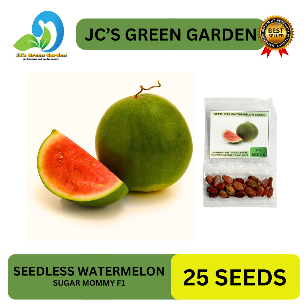 ( 30 Butir ) Benih Biji Semangka Inul Merah | Semangka Inul