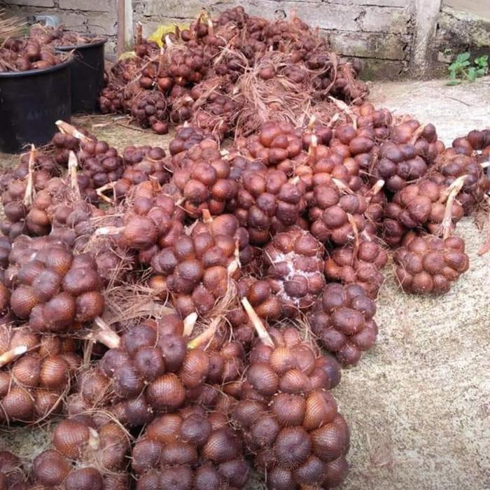 Salak bali salak gula pasir manis asli sibetan