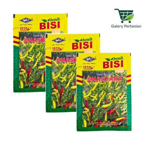 benih cabe hibrida bhaskara f1 10gr original Merah Putih. Cabai Bhaskara F1.
