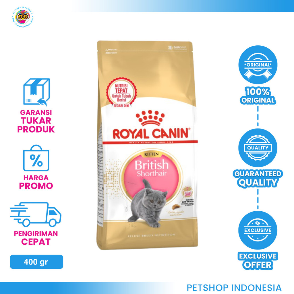 Royal Canin Kitten British Shorthair 400 gr Dry Cat Food - Makanan Anak Kucing