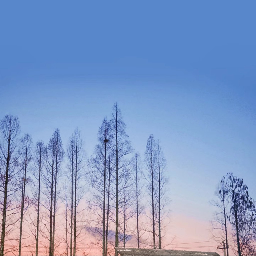 6in1 Stud Finder Wall Scanner Electronic Stud Detector Wall Detector for Detecting 112 Inch Drywall 