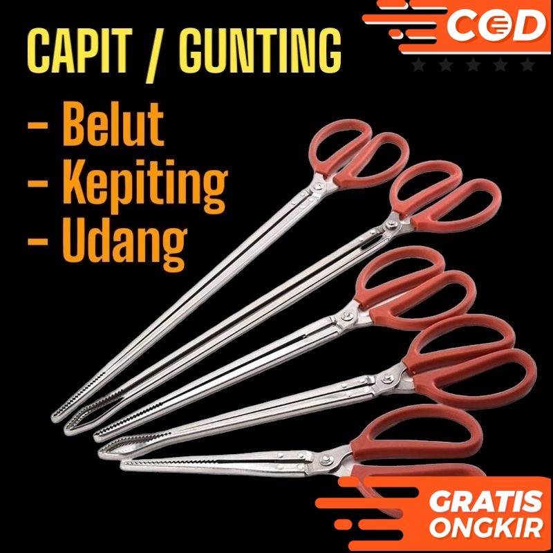 Gunting Capit Penjepit Belut Sawah Murah Gunting Penangkap Tangkap Belut Sawah Panjang Murah