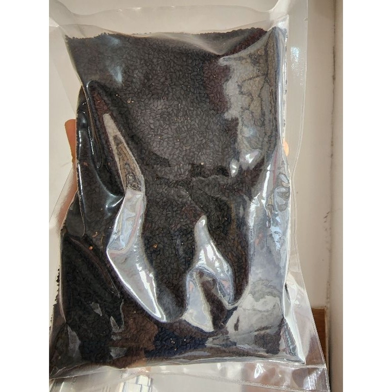 (Hausly) Jinten hitam 1kg grosir / Habbtussauda 1kg / jinten hitam