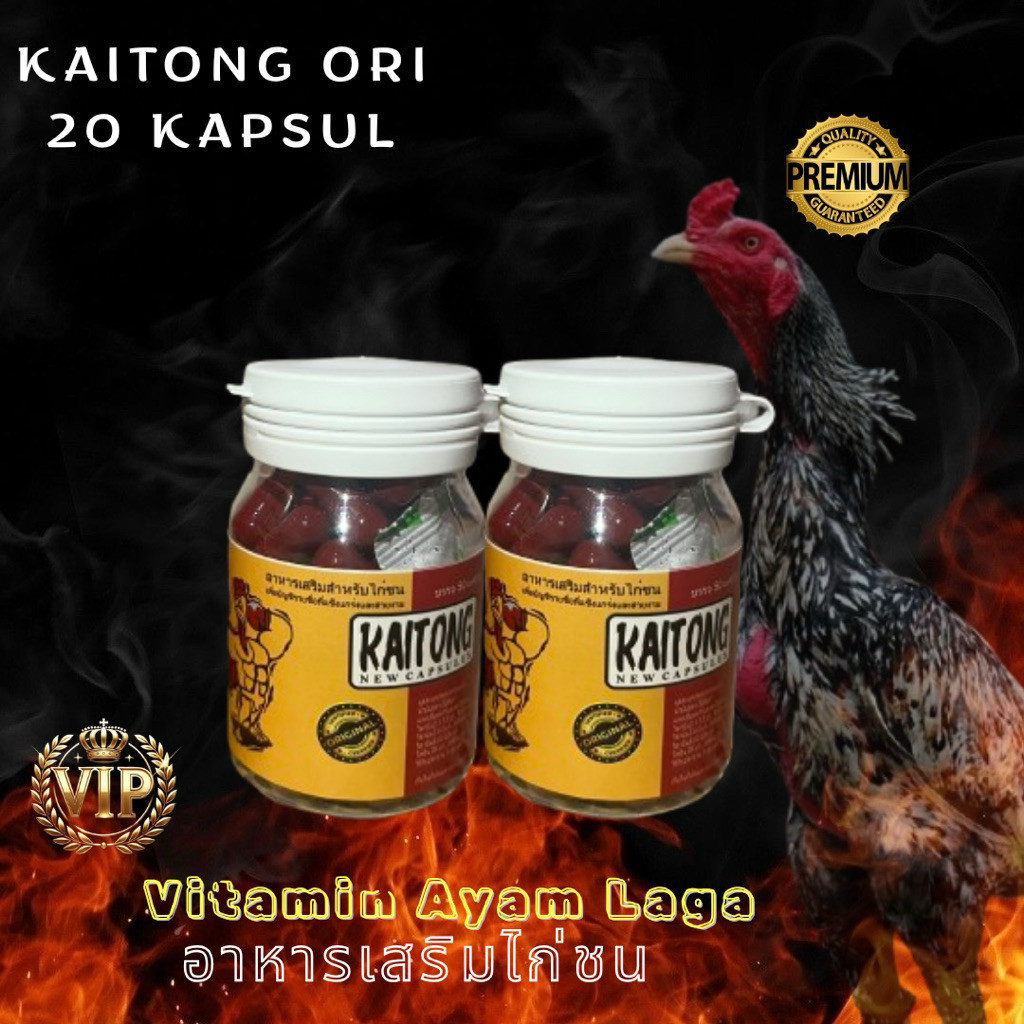 Dopping Aduan Ayam Laga Kaitong 20 Kapsul Original - TERLARIS - Sanjaya