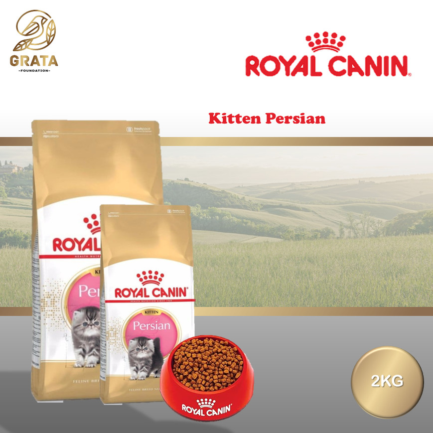 Royal canin Kitten Persia 2 kg kemasan  | RC kitten untuk ras persia kemasan 2kg