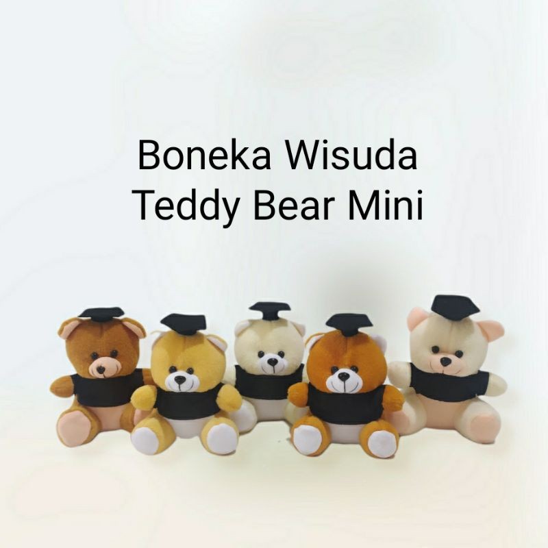 Boneka Wisuda / Boneka Buket Bunga / Teddy Bear Wisuda / Teddy Bear Mini / Boneka Mini
