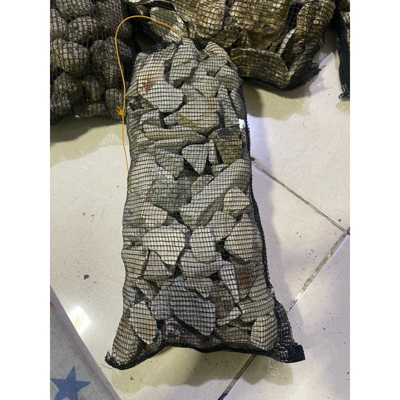 Batu Karang Jahe Alami untuk Aquarium – Estetika dan Habitat Ikan