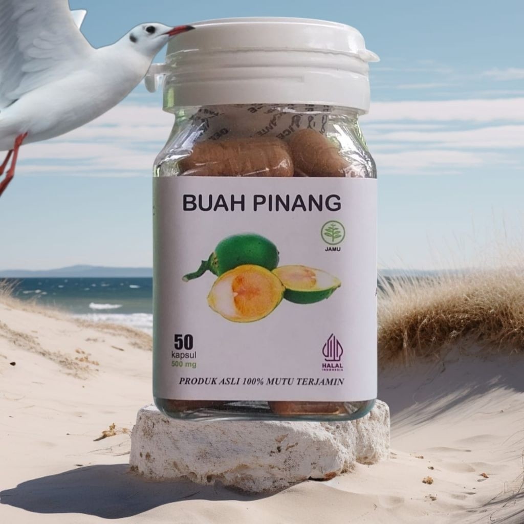 BUAH PINANG MUDA HBL ORIGINAL 50 KAPSUL Kapsul ekstrak buah pinang alami bpom mui