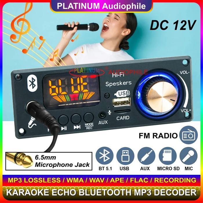 Modul MP3 Decoder Bluetooth Karaoke echo Recording Multimedia Trolley Speaker 160BT