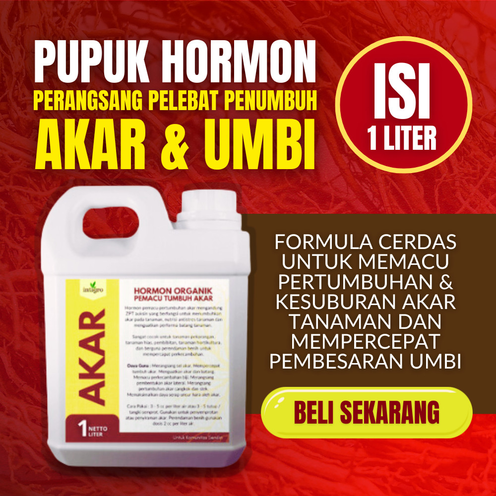 SALEPupuk Penumbuh Akar / Pupuk Akar Tanaman Buah / Pupuk Akar Durian / Pupuk Akar Tanaman / Pupuk A