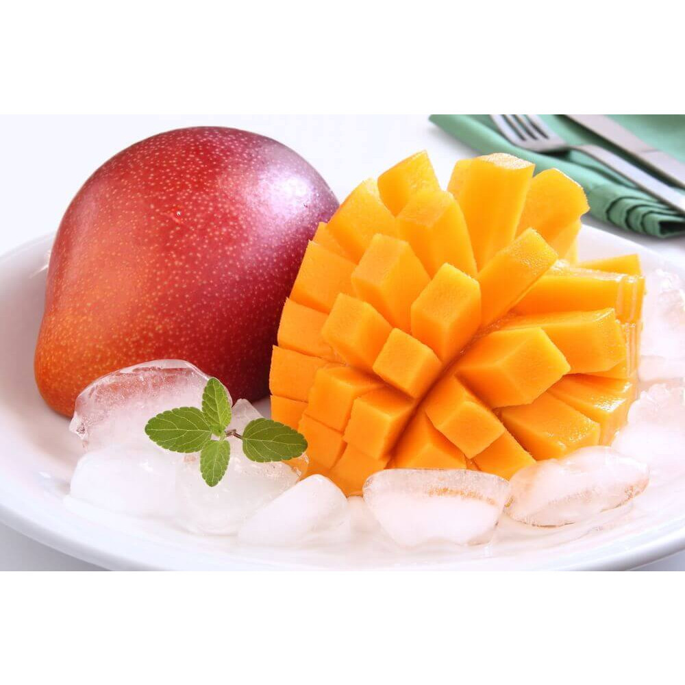 Bibit Mangga Miyazaki 1 METER BATANG BESAR