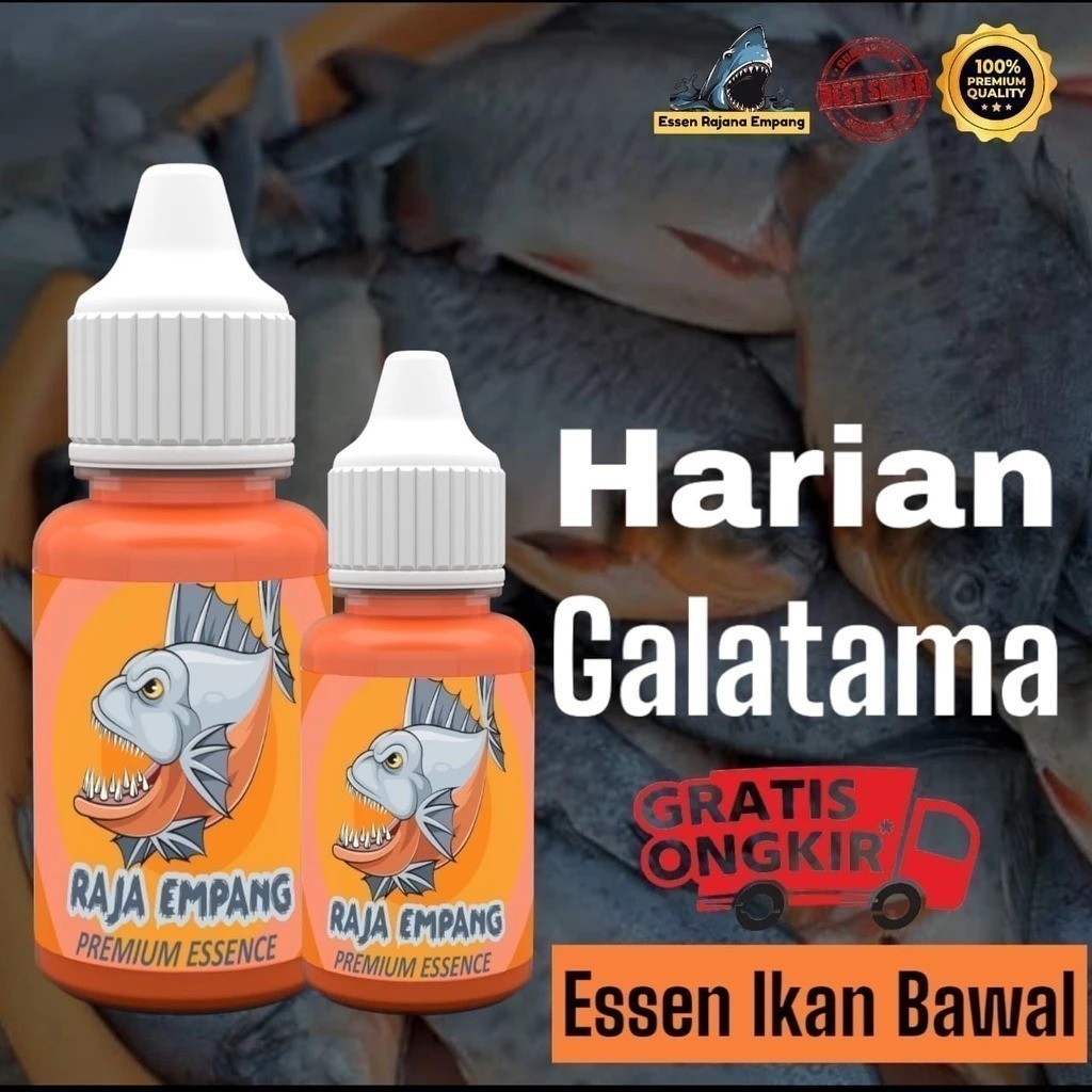 Essen Raja Empang Ikan bawal gacor harian | essen galatama bawal | esen bawal galatama | esen ikan b
