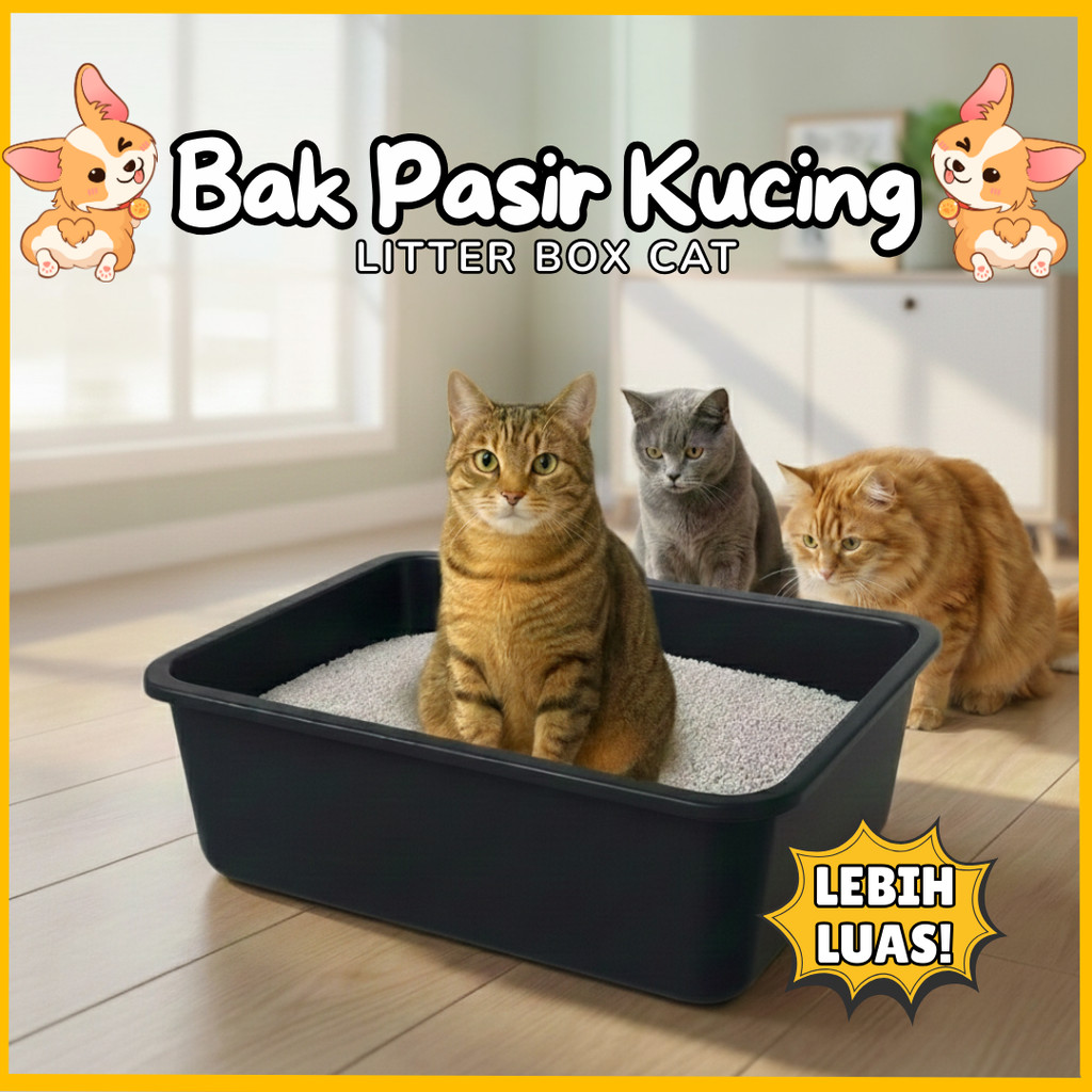 MAPLE Litter Box Kotak Bak Pasir Kucing Jumbo – Tempat Pup Kucing Plastik