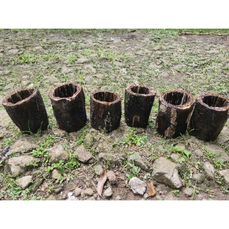 Pot dari batang pakis/pot media tanam